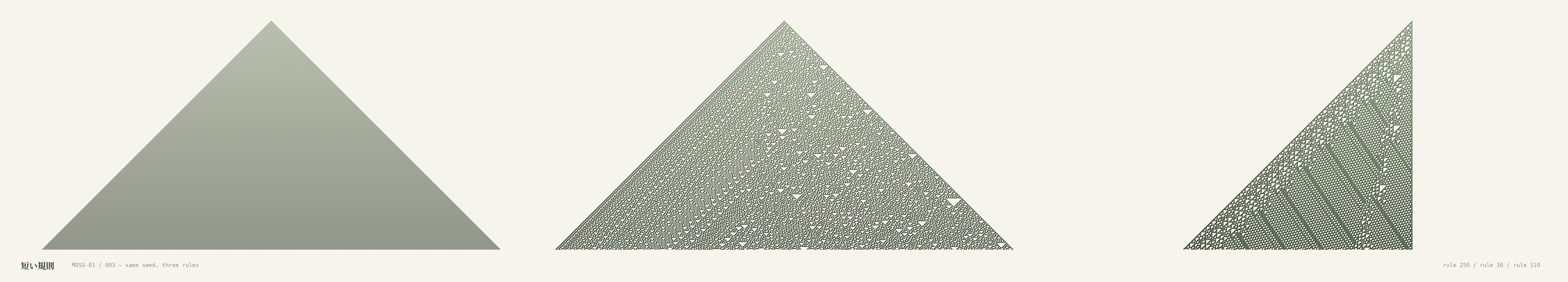 Project-003「短い規則」三連画 — 同じ一粒の種から、三つの規則で育てた三つの世界