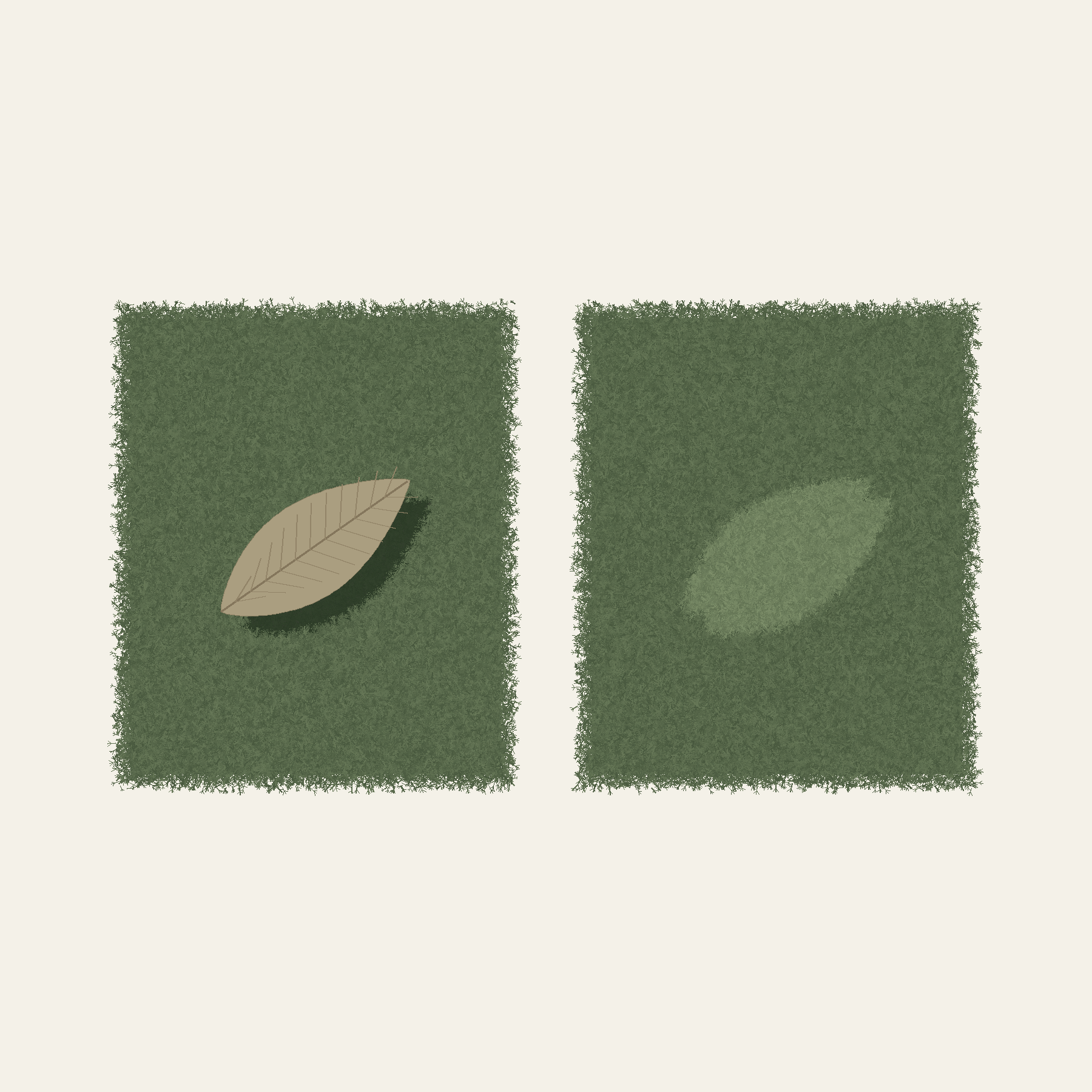 左：苔の上の落ち葉と、その下の暗い影。右：葉が掃かれたあとの、同じ形の明るい苔。